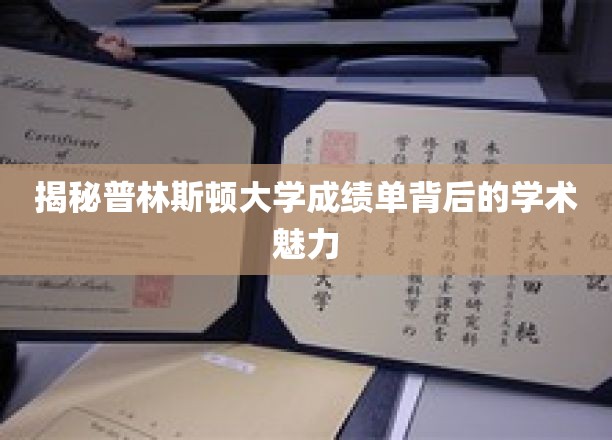 探寻普林斯顿大学成绩单中的学术奥秘与风采