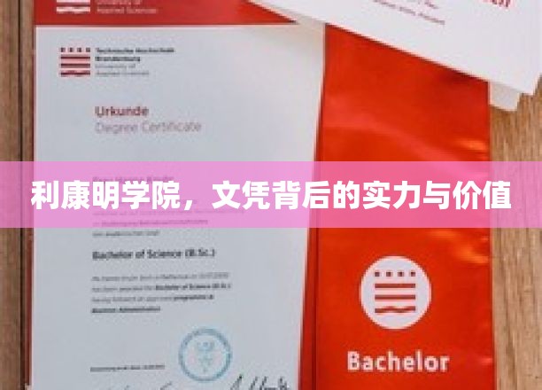 利康明学院：文凭背后的实力与价值