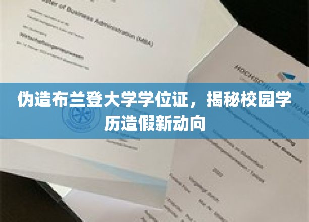 伪造布兰登大学学位证，揭秘校园学历造假新动向