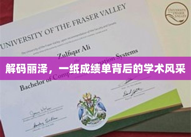探寻丽泽之光，成绩单背后的学术魅力揭秘