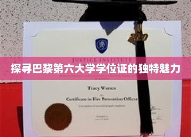 解码巴黎第六大学学位证的非凡风采