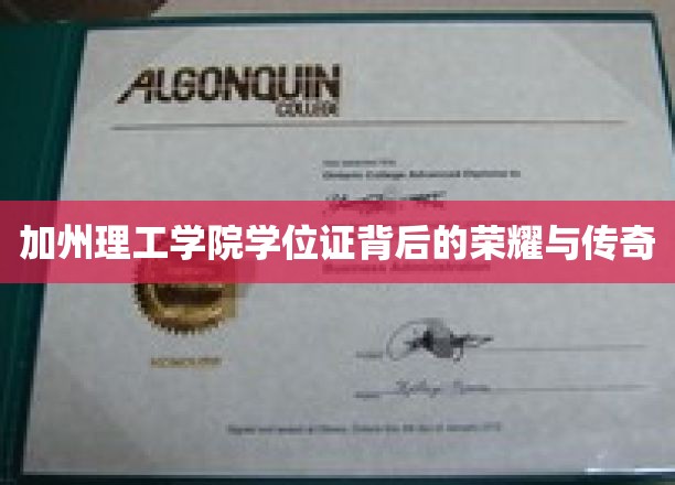 加州理工学院学位证，揭秘荣耀背后的传奇故事