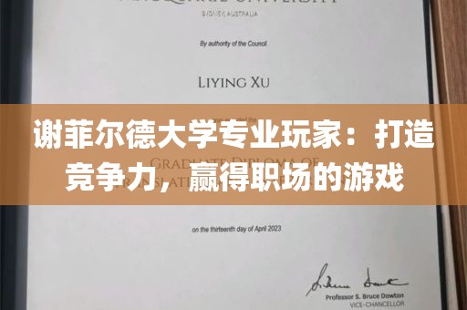 谢菲尔德大学专业玩家：打造竞争力，赢得职场的游戏