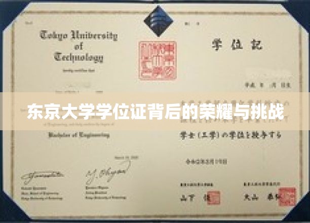 破解东京大学学位证的荣耀密码，探寻学术巅峰的艰辛之路