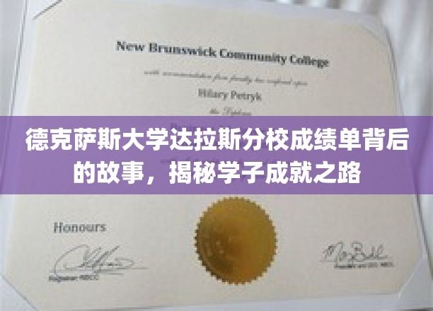 德克萨斯大学达拉斯分校成绩单背后的故事，揭秘学子成就之路