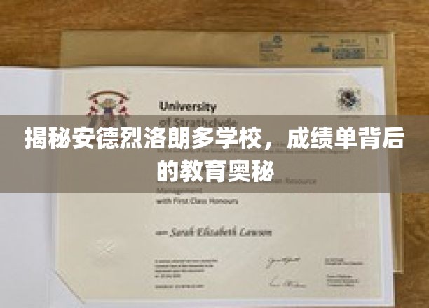 解码安德烈洛朗多学园，揭秘高效教育背后的秘密力量