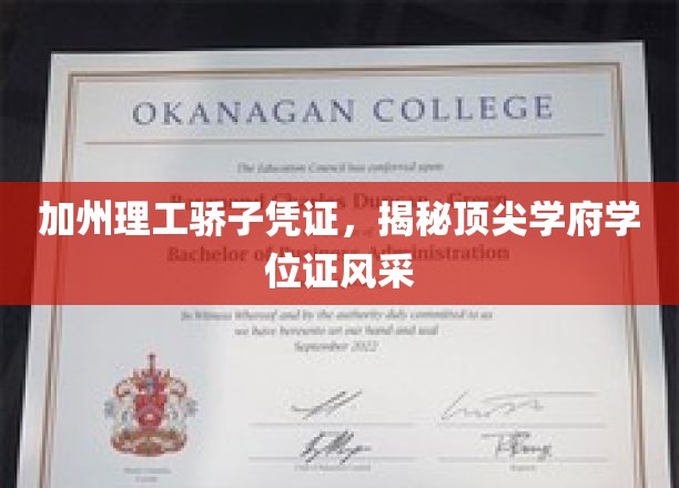 加州理工骄子凭证，揭秘顶尖学府学位证风采