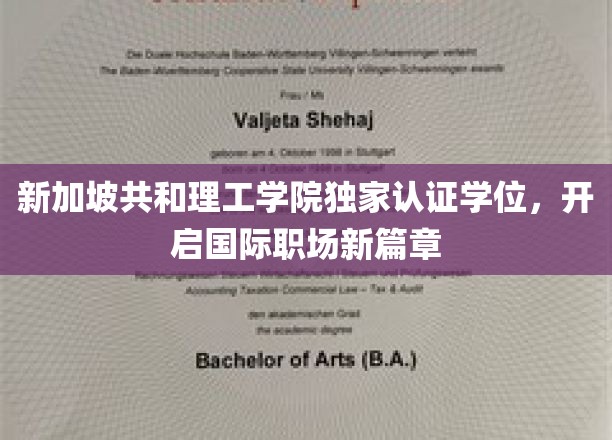 新加坡共和理工学院独领风骚，全球职场通行证助你飞跃发展