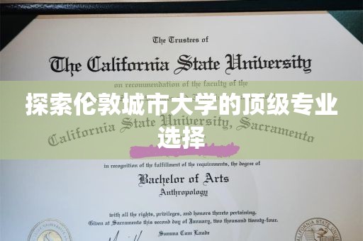 探索伦敦城市大学的顶级专业选择