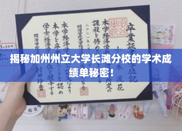 探寻加州州立大学长滩分校成绩单背后的惊人真相