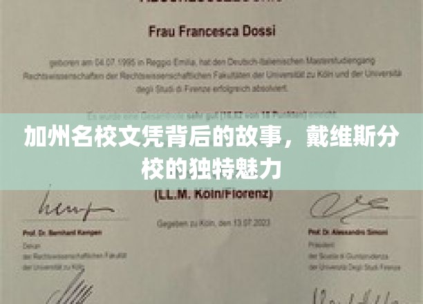 解码戴维斯，加州名校文凭背后的传奇与风采