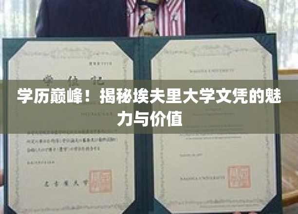 学历荣耀，埃夫里大学文凭背后的非凡魅力与宝贵价值