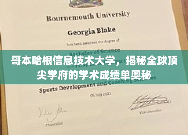 解码哥本哈根信息技术大学，全球顶尖学府的卓越学术成绩解析