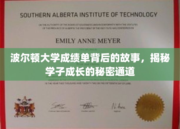 波尔顿大学成绩单背后的故事，揭秘学子成长的秘密通道