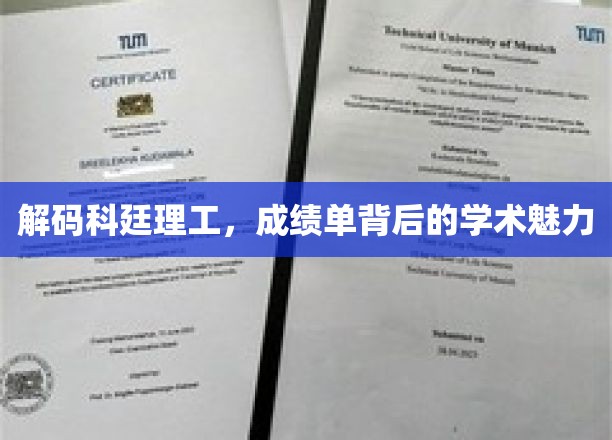 探索科廷理工，揭秘成绩单背后的学术风采