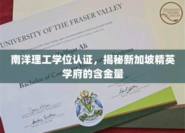 解码南洋理工，新加坡顶尖学府学位认证背后的价值与魅力