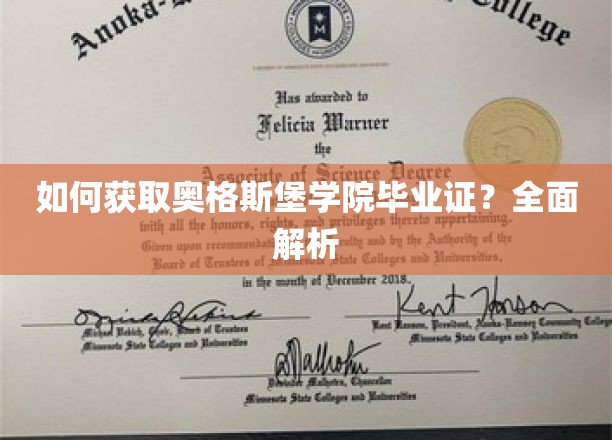 如何获取奥格斯堡学院毕业证？全面解析