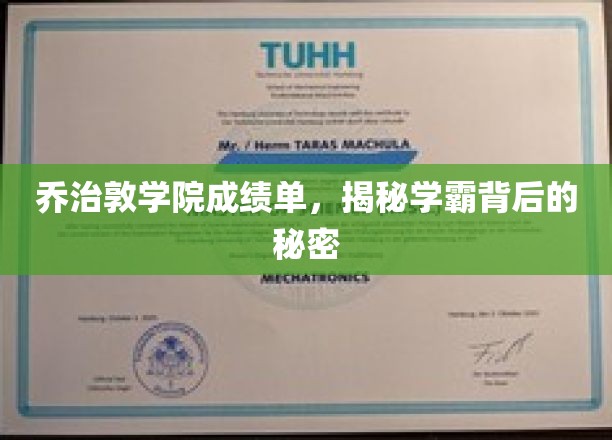 乔治敦学霸养成记，揭秘顶尖学府的学霸养成秘籍