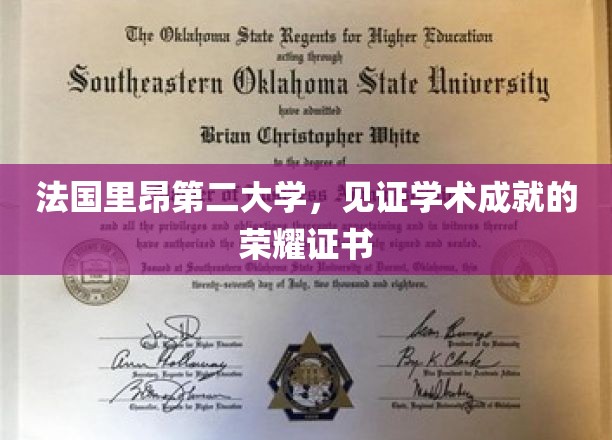 法国里昂第二大学，见证学术成就的荣耀证书