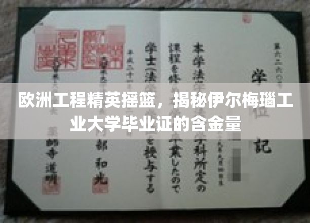 欧洲工程精英摇篮，揭秘伊尔梅瑙工业大学毕业证的含金量