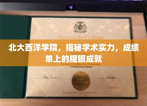 北大西洋学院，揭示学术实力，成绩单上的璀璨成就