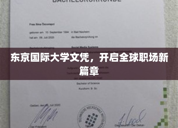 东京国际大学文凭，助您迈向国际职场新里程