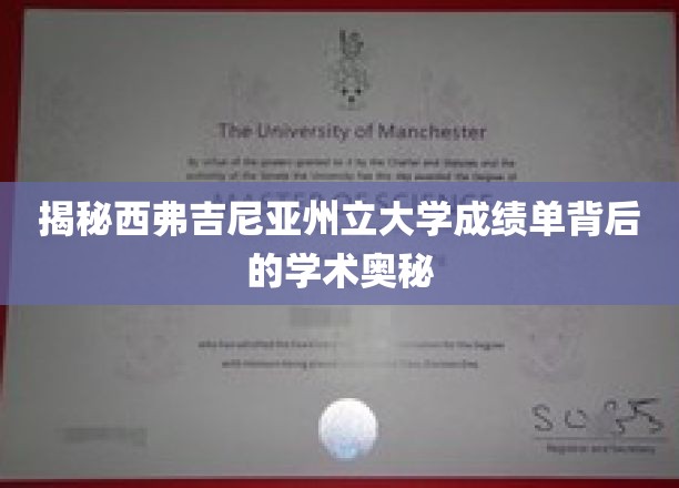 探寻西弗吉尼亚大学成绩单背后的独特学术风景
