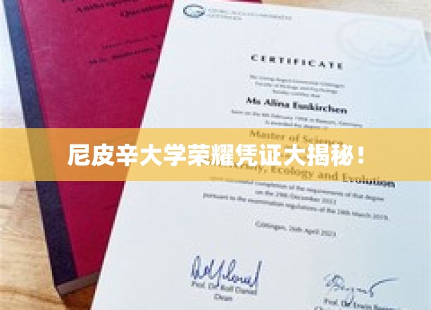 尼皮辛大学荣耀凭证大揭秘！