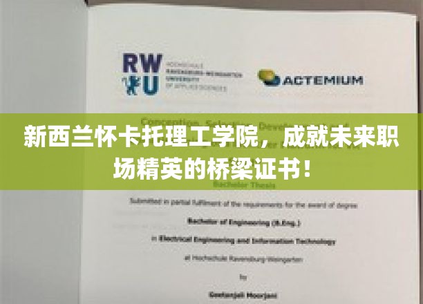 新西兰怀卡托理工学院，成就未来职场精英的桥梁证书！