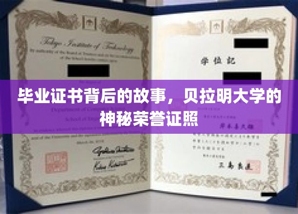 毕业证书背后的故事，贝拉明大学的神秘荣誉证照