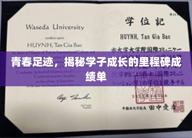 青春脚步见证，学子成长之路上的辉煌瞬间