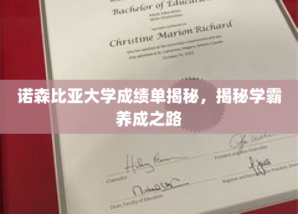 解锁诺森比亚学霸养成记，揭秘高分成绩单背后的秘密