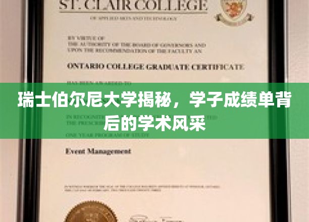 瑞士伯尔尼大学：揭秘学子成绩单背后的学术风采