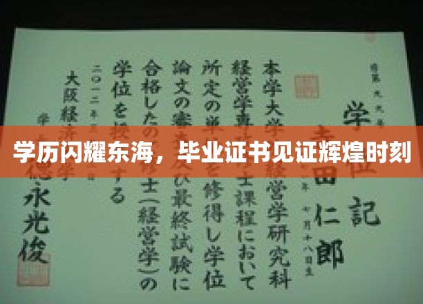 东海才子荣耀时刻，毕业证书见证璀璨学历光芒
