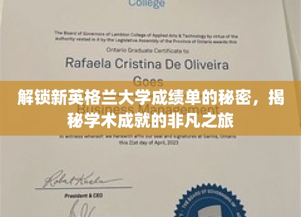 探索新英格兰大学成绩单背后的神秘世界，揭秘学术精英的成长足迹