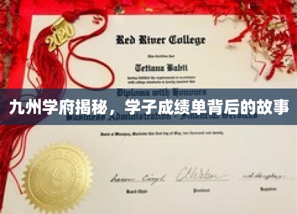 学府风云录，揭开学子成绩单背后的传奇人生