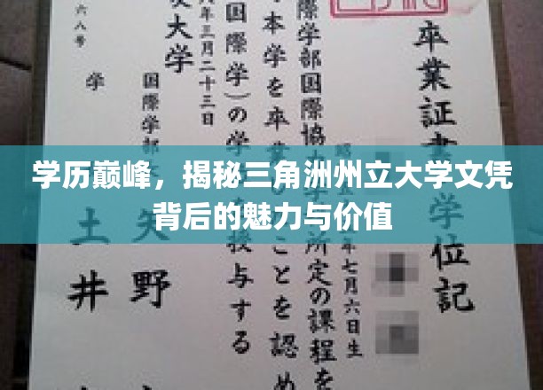 三角洲州立大学文凭，揭秘其背后的教育魅力和价值所在