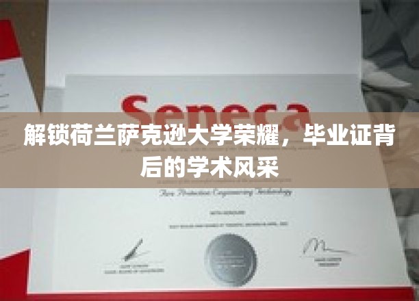 解锁荷兰萨克逊大学荣耀，一睹毕业证背后的学术风采