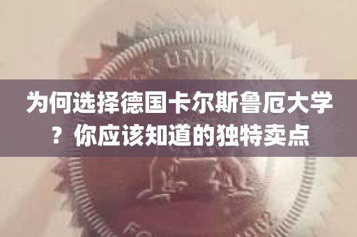 为何选择德国卡尔斯鲁厄大学？你应该知道的独特卖点