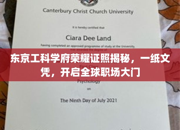 揭秘东京工业大学荣耀证照，一纸文凭，助力全球职场之梦