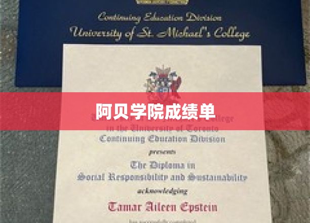 阿贝学院成绩单
