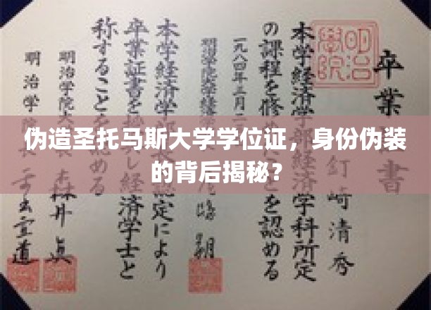 伪造圣托马斯大学学位证，揭秘身份伪装背后的真相？