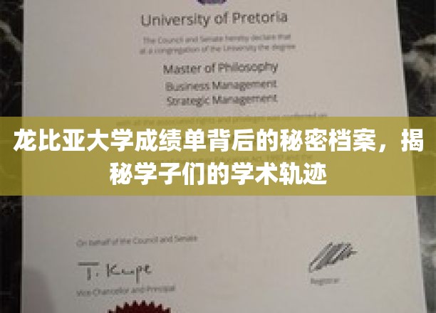 龙比亚大学成绩单背后的隐藏故事，探寻学子成长轨迹的神秘档案