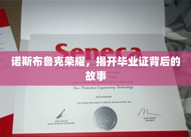 诺斯布鲁克荣耀，揭开毕业证背后的故事