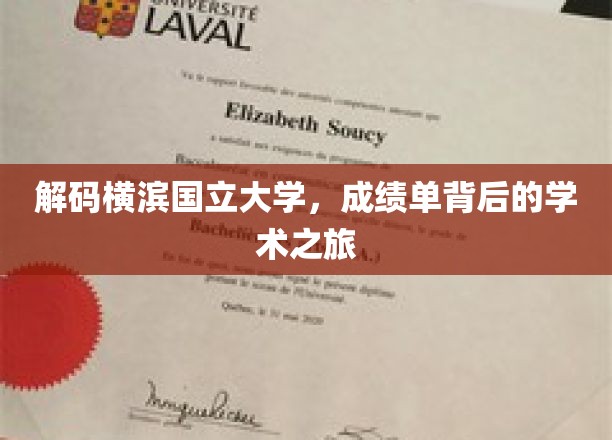 横滨国立大学揭秘，探寻成绩单背后的学术奥秘