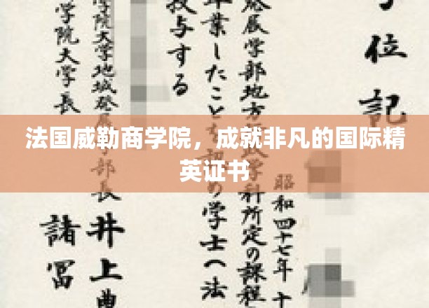 法国威勒商学院，铸就非凡的国际精英证书