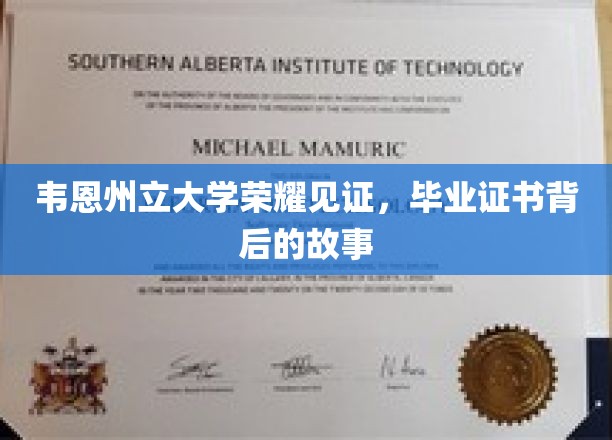 韦恩州立大学毕业证书，揭开荣耀背后的感人篇章
