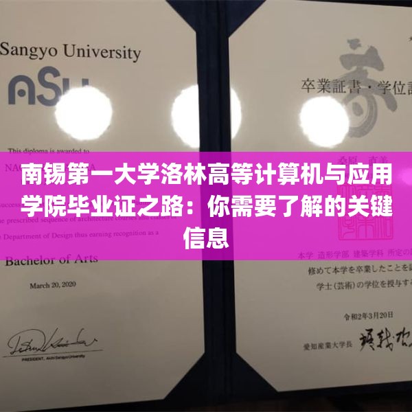 南锡第一大学洛林高等计算机与应用学院毕业证之路：你需要了解的关键信息