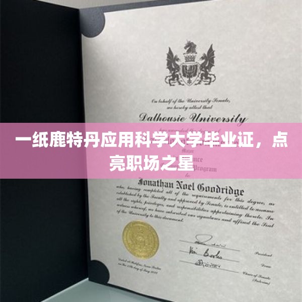 一纸鹿特丹应用科学大学毕业证，点亮职场之星