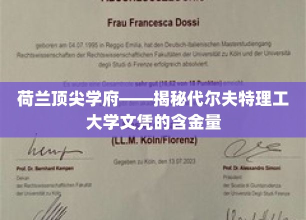 欧洲精英摇篮，探秘代尔夫特理工大学学位的非凡价值